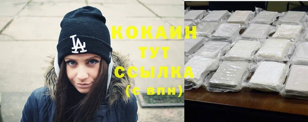 МДПВ Кукмор