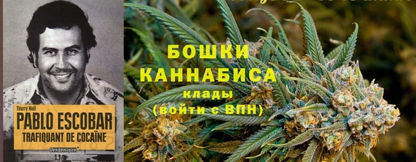 МДПВ Кукмор