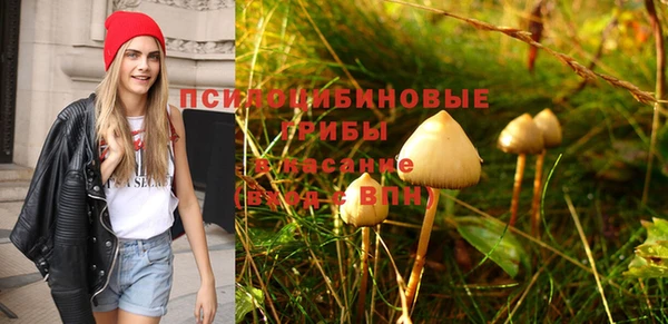 МДПВ Кукмор