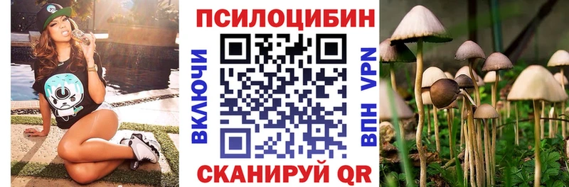 купить наркотик  Таштагол  hydra вход  Псилоцибиновые грибы Magic Shrooms 